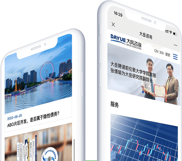 北京大岳咨询有限责任公司